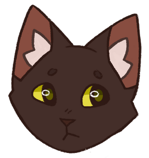 Ravenpaw headshot