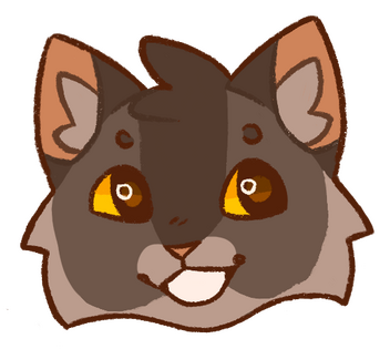 graypaw headshot