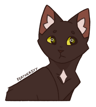 Ravenpaw halfbody